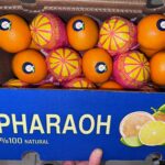 orange sample al nossier