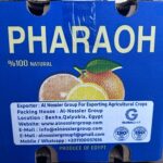 carton data al nossier